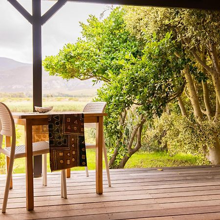 Springfontein River Lodge 스탠포드 외부 사진