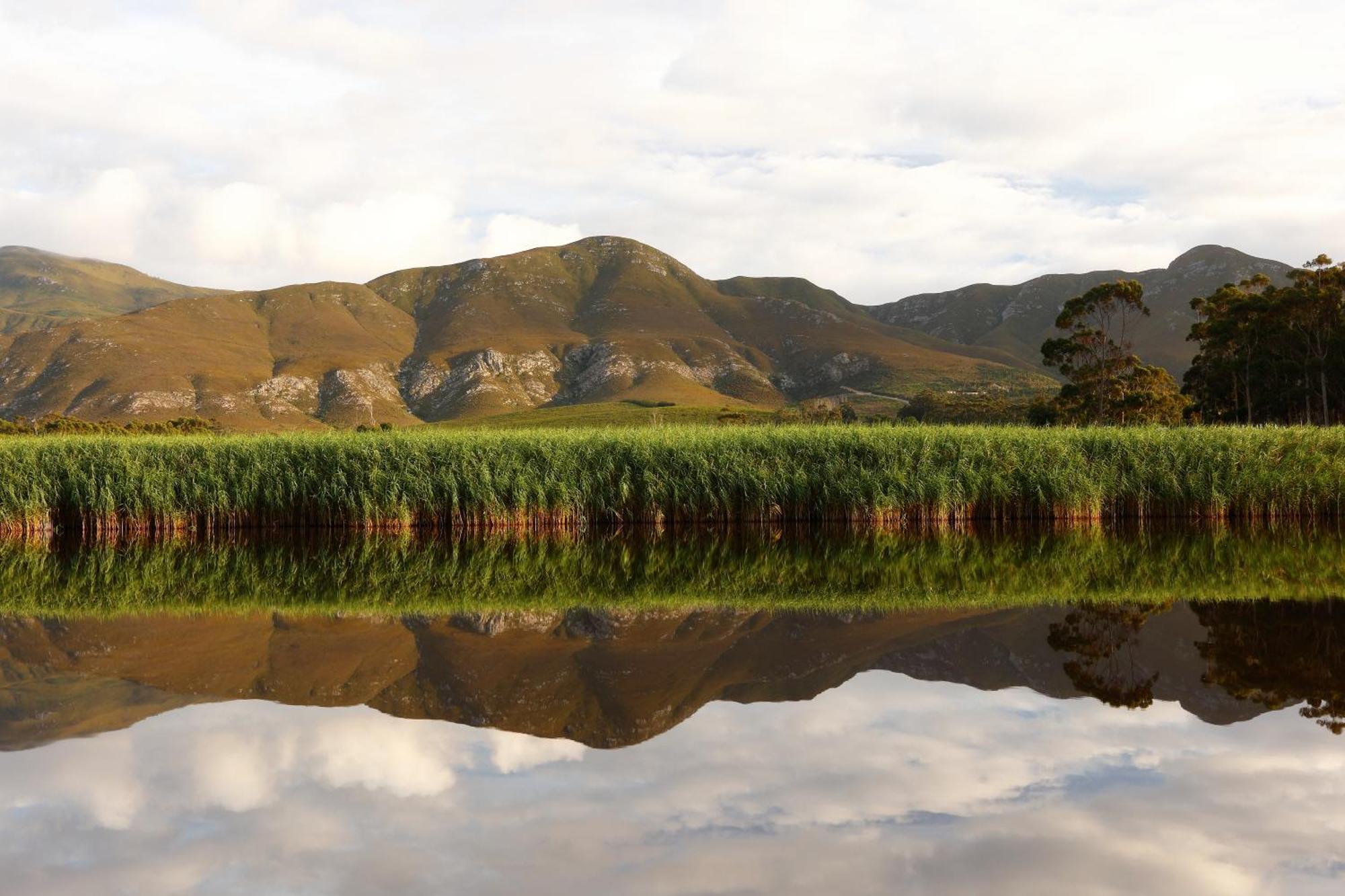 Springfontein River Lodge 스탠포드 외부 사진